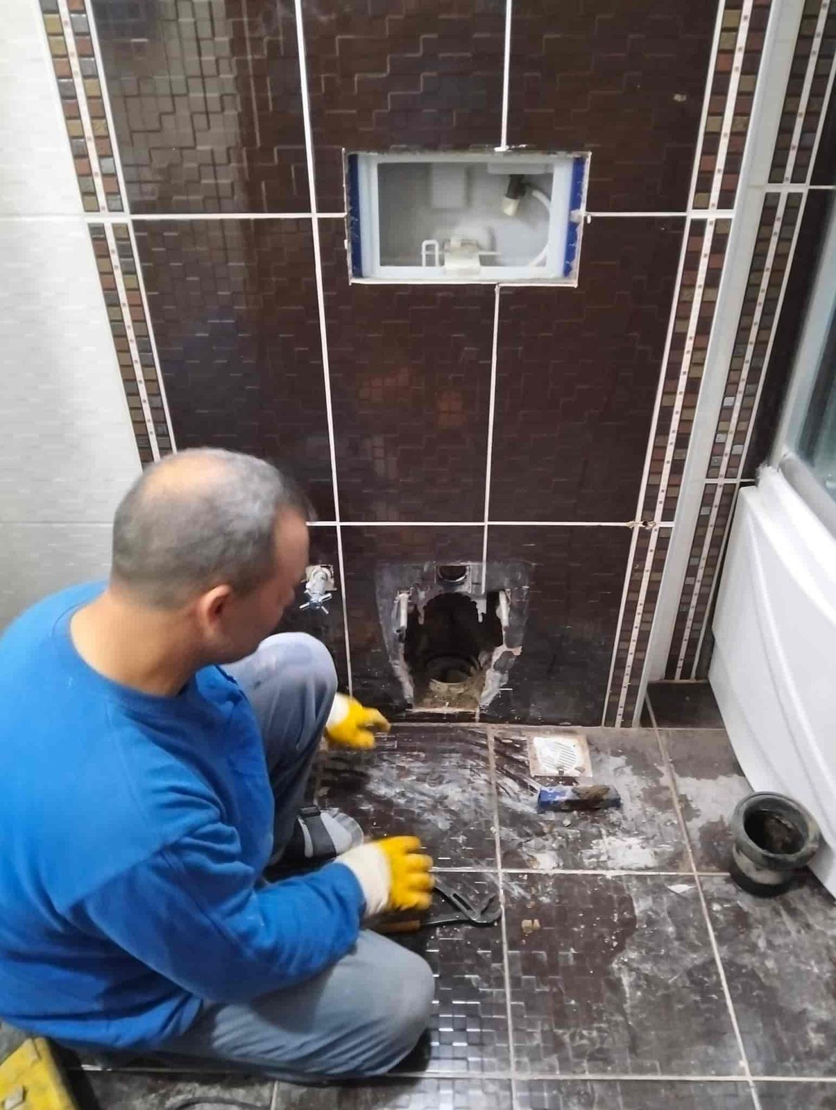 Tuvalet ve WC